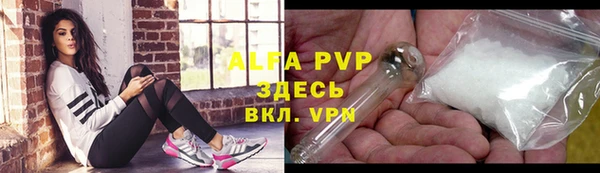 PSILOCYBIN Надым